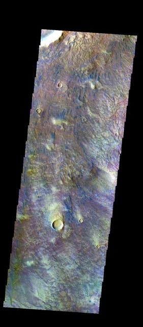 The THEMIS VIS camera contains 5 filters. The data from different filters can be combined in multiple ways to create a false color image. These false color images may reveal subtle variations of the surface not easily identified in a single band image. Today's false color image shows some of the floor of Newton Crater. The small dark bluish features are sand dunes.  Orbit Number: 50864 Latitude: -41.5788 Longitude: 201.592 Instrument: VIS Captured: 2013-06-02 02:53  http://photojournal.jpl.nasa.gov/catalog/PIA21280