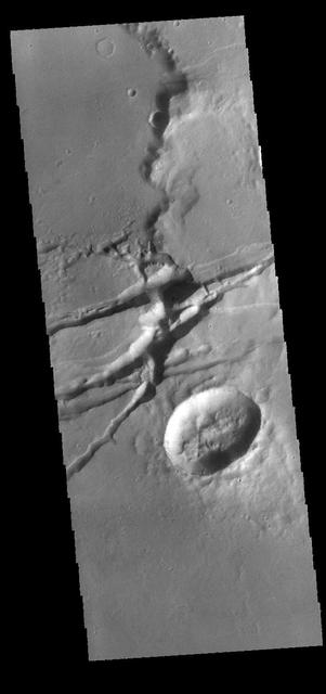 NASA image: Sirenum Fossae