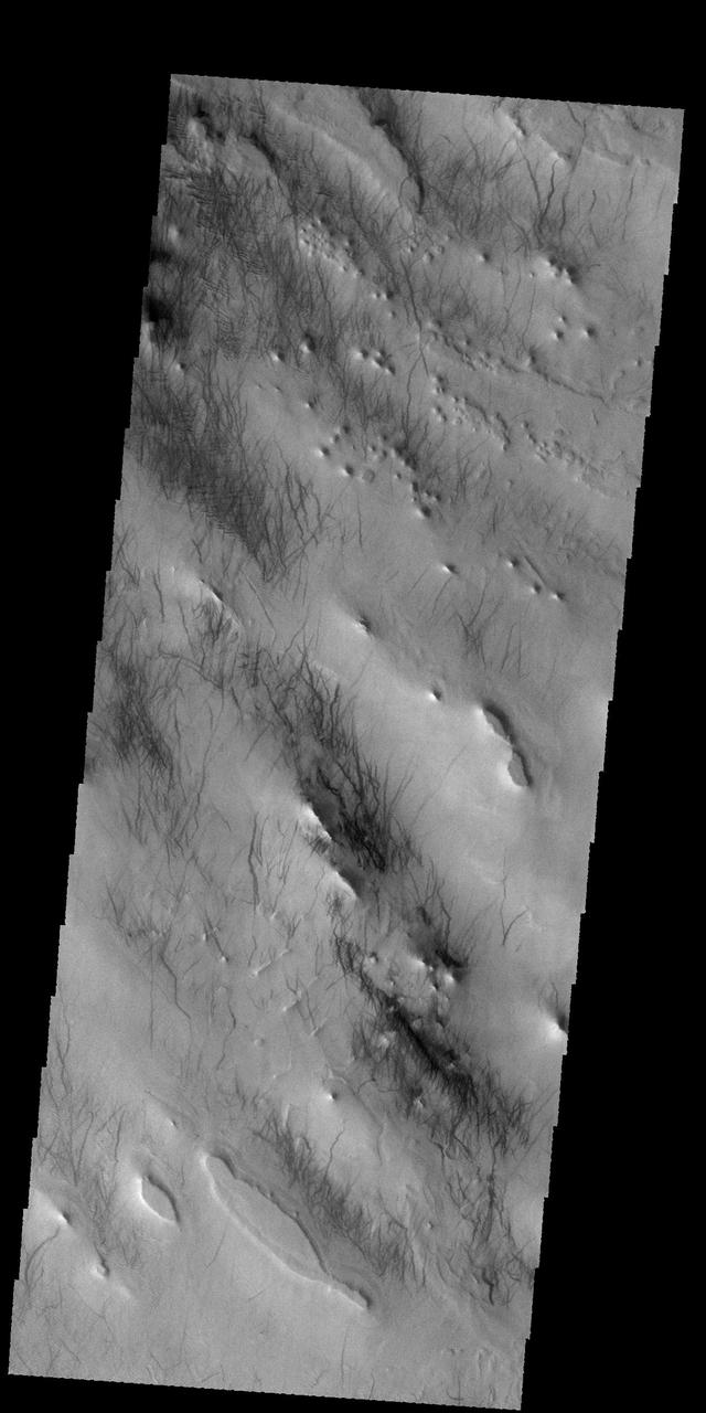 Today's VIS image shows dust devil tracks in Argyre Planitia. The dark streaks are made by dust devil activity scouring the surface and removing the lighter toned dust to reveal the darker rocky surface below.  Orbit Number: 66386 Latitude: -46.532 Longitude: 314.96 Instrument: VIS Captured: 2016-12-01 02:09  http://photojournal.jpl.nasa.gov/catalog/PIA21294