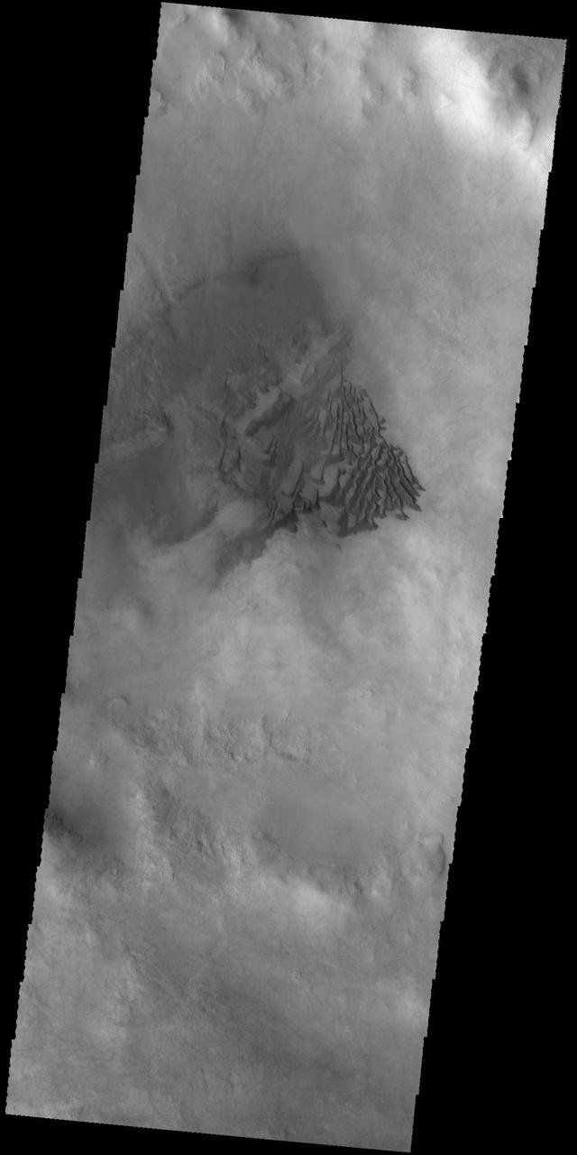 This image captured by NASA 2001 Mars Odyssey spacecraft shows sand dunes on the floor of an unnamed crater in Noachis Terra. Orbit Number: 66596 Latitude: -58.5214 Longitude: 10.4199 Instrument: VIS Captured: 2016-12-18 09:27 http://photojournal.jpl.nasa.gov/catalog/PIA21302