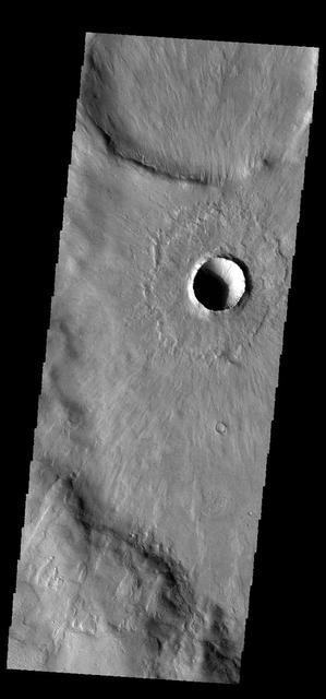 This image from NASA 2001 Mars Odyssey spacecraft shows the same young crater from earlier this week. In this image we can see how the thin radial ejecta has lapped up and over the ridge at the bottom of the image.  Orbit Number: 66654 Latitude: -44.4179 Longitude: 139.201 Instrument: VIS Captured: 2016-12-23 04:04  http://photojournal.jpl.nasa.gov/catalog/PIA21303