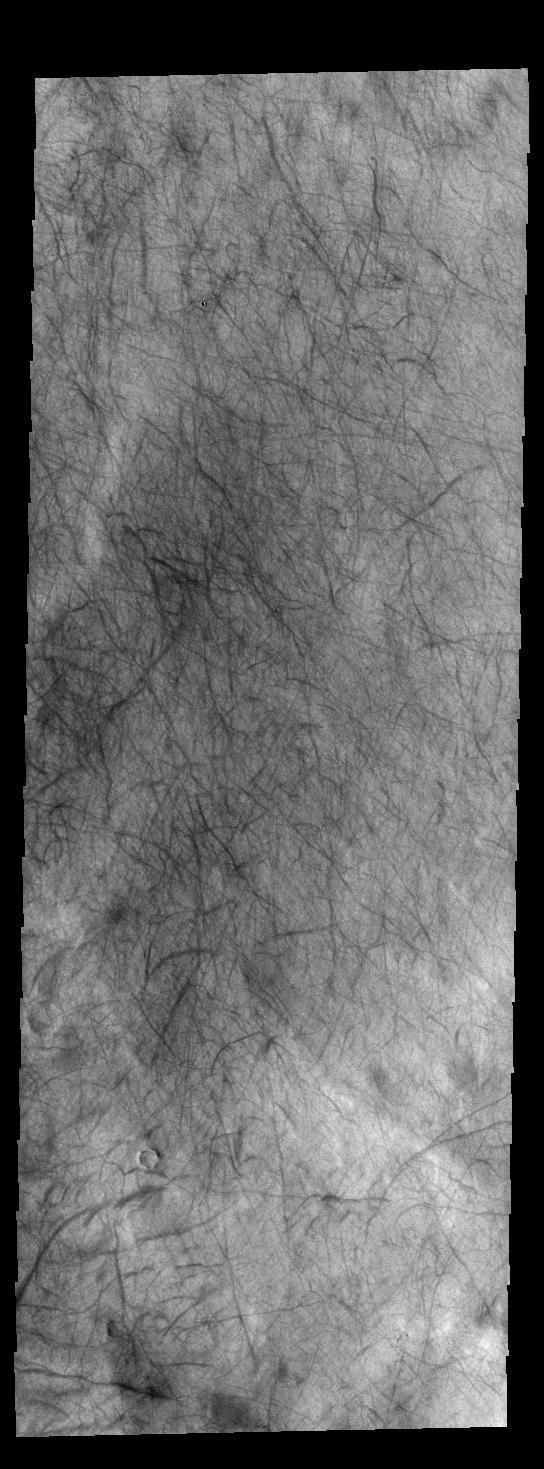 Today's VIS image shows dust devil tracks on the plains of Aonia Terra. As the dust devil moves across the surface it scours the fine dust particles, revealing the darker rock surface below.  Orbit Number: 66800 Latitude: -65.2605 Longitude: 239.338 Instrument: VIS Captured: 2017-01-04 04:52  http://photojournal.jpl.nasa.gov/catalog/PIA21316
