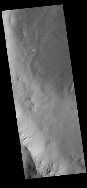 NASA image: Ross Crater Gullies