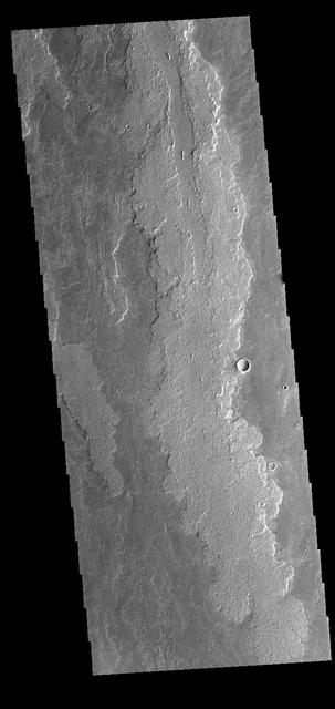 This image captured by NASA 2001 Mars Odyssey spacecraft shows a portion of Daedalia Planum, an extensive volcanic plain comprised of flows from Arsia Mons.