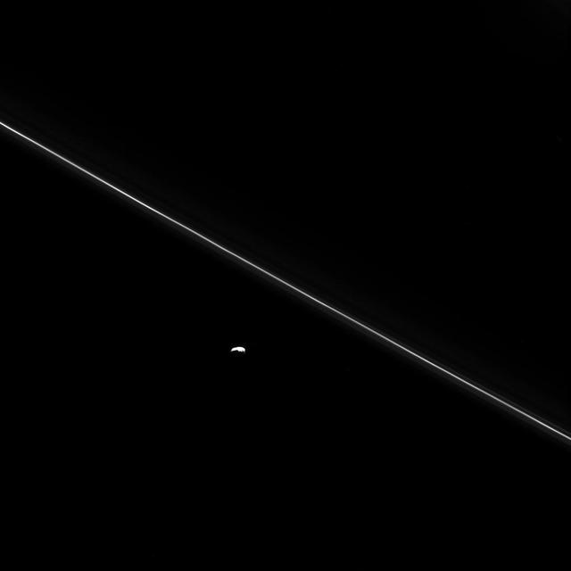 As Cassini hurtled toward its fatal encounter with Saturn, the spacecraft turned to catch this final look at Saturn's moon Pandora next to the thin line of the F ring. Over the course of its mission, Cassini helped scientists understand that Pandora plays a smaller role than they originally thought in shaping the narrow ring. When Cassini arrived at Saturn, many thought that Pandora and Prometheus worked together to shepherd the F ring between them, confining it and sculpting its unusual braided and kinked structures. However, data from Cassini show that the gravity of the two moons together actually stirs the F ring into a chaotic state, generating the "gap and streamer" structure. Recent models, supported by Cassini images, suggest that it is Prometheus alone, not Pandora, that confines the bulk of the F ring, aided by the particular characteristics of its orbit. Prometheus establishes stable locations for F ring material where the moon's own gravitational resonances are least cluttered by the perturbing influence of its sibling satellite, Pandora. This view looks toward the sunlit side of the rings from about 28 degrees above the ringplane. The image was taken in visible light with the Cassini spacecraft narrow-angle camera on Sept. 14, 2017. The view was obtained at a distance of approximately 360,000 miles (577,000 kilometers) from Pandora and at a Sun-Pandora-spacecraft, or phase, angle of 119 degrees. Image scale is about 2.2 miles (3.5 kilometers) per pixel. The Cassini spacecraft ended its mission on Sept. 15, 2017. https://photojournal.jpl.nasa.gov/catalog/PIA21355