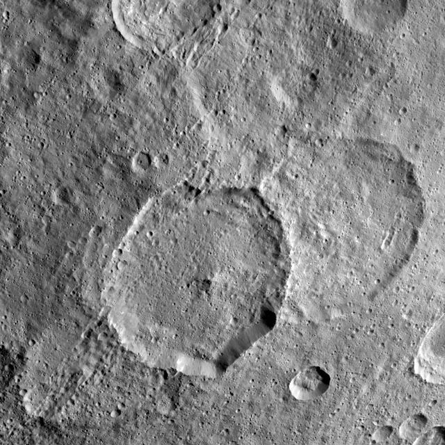 Inamahari Crater on Ceres, the large well-defined crater at the center of this image, is one of the sites where scientists have discovered evidence for organic material.  The crater, 42 miles (68 kilometers) in diameter, presents other interesting attributes. It has a polygonal shape and an association with another crater of similar size and geometry called Homshuk (center right), although the latter appears eroded and is likely older. Future studies of Inamahari crater and surroundings may help uncover the mechanisms involved in the exposure of organic material onto Ceres' surface.  Inamahari was named for a pair of male and female deities from the ancient Siouan tribe of South Carolina, invoked for a successful sowing season. Homshuk refers to the spirit of corn (maize) from the Popoluca peoples of southern Mexico.  Inamahari is located at 14 degrees north latitude, 89 degrees east longitude. This picture was taken by NASA's Dawn on September 25, 2015 from an altitude of about 915 miles (1,470 kilometers). It has a resolution of 450 feet (140 meters) per pixel.  https://photojournal.jpl.nasa.gov/catalog/PIA21402