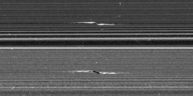 NASA's Cassini spacecraft captured these remarkable views of a propeller feature in Saturn's A ring on Feb. 21, 2017. These are the sharpest images taken of a propeller so far, and show an unprecedented level of detail. The propeller is nicknamed "Santos-Dumont," after the pioneering Brazilian-French aviator.  This observation was Cassini's first targeted flyby of a propeller. The views show the object from vantage points on opposite sides of the rings. The top image looks toward the rings' sunlit side, while the bottom image shows the unilluminated side, where sunlight filters through the backlit ring.  The two images presented as figure 1 are reprojected at the same scale (0.13 mile or 207 meters per pixel) in order to facilitate comparison. The original images, which have slightly different scales, are also provided here, without reprojection, as figure 2; the sunlit-side image is at left, while the unlit-side image is at right.  Cassini scientists have been tracking the orbit of this object for the past decade, tracing the effect that the ring has upon it. Now, as Cassini has moved in close to the ring as part of its ring-grazing orbits, it was able to obtain this extreme close-up view of the propeller, enabling researchers to examine its effects on the ring. These views, and others like them, will inform models and studies in new ways going forward.  Like a frosted window, Saturn's rings look different depending on whether they are seen fully sunlit or backlit. On the lit side, the rings look darker where there is less material to reflect sunlight. On the unlit side, some regions look darker because there is less material, but other regions look dark because there is so much material that the ring becomes opaque.  Observing the same propeller on both the lit and unlit sides allows scientists to gather richer information about how the moonlet affects the ring. For example, in the unlit-side view, the broad, dark band through the middle of the propeller seems to be a combination of both empty and opaque regions.  The propeller's central moonlet would only be a couple of pixels across in these images, and may not actually be resolved here. The lit-side image shows that a bright, narrow band of material connects the moonlet directly to the larger ring, in agreement with dynamical models. That same thin band of material may also be obscuring the moonlet from view.  Lengthwise along the propeller is a gap in the ring that the moonlet has pried open. The gap appears dark on both the lit and unlit sides. Flanking the gap near the moonlet are regions of enhanced density, which appear bright on the lit side and more mottled on the unlit side.  One benefit of the high resolution of these images is that, for the first time, wavy edges are clearly visible in the gap. These waves are also expected from dynamical models, and they emphasize that the gap must be sharp-edged. Furthermore, the distance between the wave crests tells scientists the width of the gap (1.2 miles or 2 kilometers), which in turn reveals the mass of the central moonlet. From these measurements, Cassini imaging scientists deduce that the moonlet's mass is comparable to that of a snowball about 0.6 mile (1 kilometer) wide.  For the original images, the lit-side image has a scale of 0.33 mile (530 meters) per pixel in the radial (or outward from Saturn) direction and 0.44 mile (710 meters) per pixel in the azimuthal (or around Saturn) direction. The different scales are the result of Cassini's vantage point being off to the side of the propeller, rather than directly above it. The unlit-side image has a scale of 0.25 (410 meters) per pixel in both directions.  In order to preserve its original level of detail, the image has not been cleaned of bright blemishes due to cosmic rays and to charged particle radiation from Saturn.  http://photojournal.jpl.nasa.gov/catalog/PIA21433