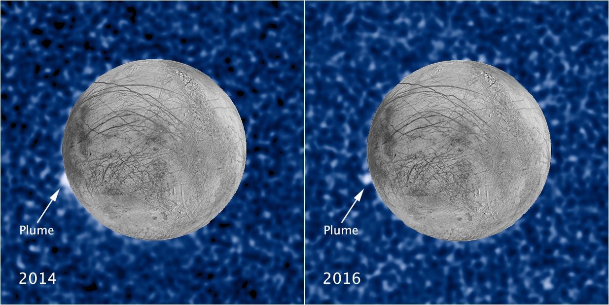 These composite images show a suspected plume of material erupting two years apart from the same location on Jupiter's icy moon Europa. The images bolster evidence that the plumes are a real phenomenon, flaring up intermittently in the same region on the satellite. Both plumes, photographed in ultraviolet light by NASA's Hubble's Space Telescope Imaging Spectrograph, were seen in silhouette as the moon passed in front of Jupiter.      The newly imaged plume, shown at right, rises about 62 miles (100 kilometers) above Europa's frozen surface. The image was taken Feb. 22, 2016. The plume in the image at left, observed by Hubble on March 17, 2014, originates from the same location. It is estimated to be about 30 miles (50 kilometers) high. The snapshot of Europa, superimposed on the Hubble image, was assembled from data from NASA's Galileo mission to Jupiter.      The plumes correspond to the location of an unusually warm spot on the moon's icy crust, seen in the late 1990s by the Galileo spacecraft (see PIA21444). Researchers speculate that this might be circumstantial evidence for water venting from the moon's subsurface. The material could be associated with the global ocean that is believed to be present beneath the frozen crust.  https://photojournal.jpl.nasa.gov/catalog/PIA21443