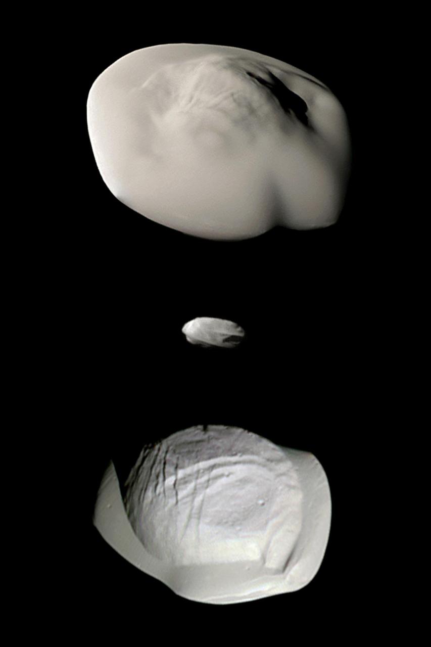 This montage of views from NASA's Cassini spacecraft shows three of Saturn's small ring moons: Atlas, Daphnis and Pan at the same scale for ease of comparison.  Two differences between Atlas and Pan are obvious in this montage. Pan's equatorial band is much thinner and more sharply defined, and the central mass of Atlas (the part underneath the smooth equatorial band) appears to be smaller than that of Pan.  Images of Atlas and Pan taken using infrared, green and ultraviolet spectral filters were combined to create enhanced-color views, which highlight subtle color differences across the moons' surfaces at wavelengths not visible to human eyes. (The Daphnis image was colored using the same green filter image for all three color channels, adjusted to have a realistic appearance next to the other two moons.)  All of these images were taken using the Cassini spacecraft narrow-angle camera. The images of Atlas were acquired on April 12, 2017, at a distance of 10,000 miles (16,000 kilometers) and at a sun-moon-spacecraft angle (or phase angle) of 37 degrees. The images of Pan were taken on March 7, 2017, at a distance of 16,000 miles (26,000 kilometers) and a phase angle of 21 degrees. The Daphnis image was obtained on Jan. 16, 2017, at a distance of 17,000 miles (28,000 kilometers) and at a phase angle of 71 degrees. All images are oriented so that north is up.  A monochrome version is available at https://photojournal.jpl.nasa.gov/catalog/PIA21449