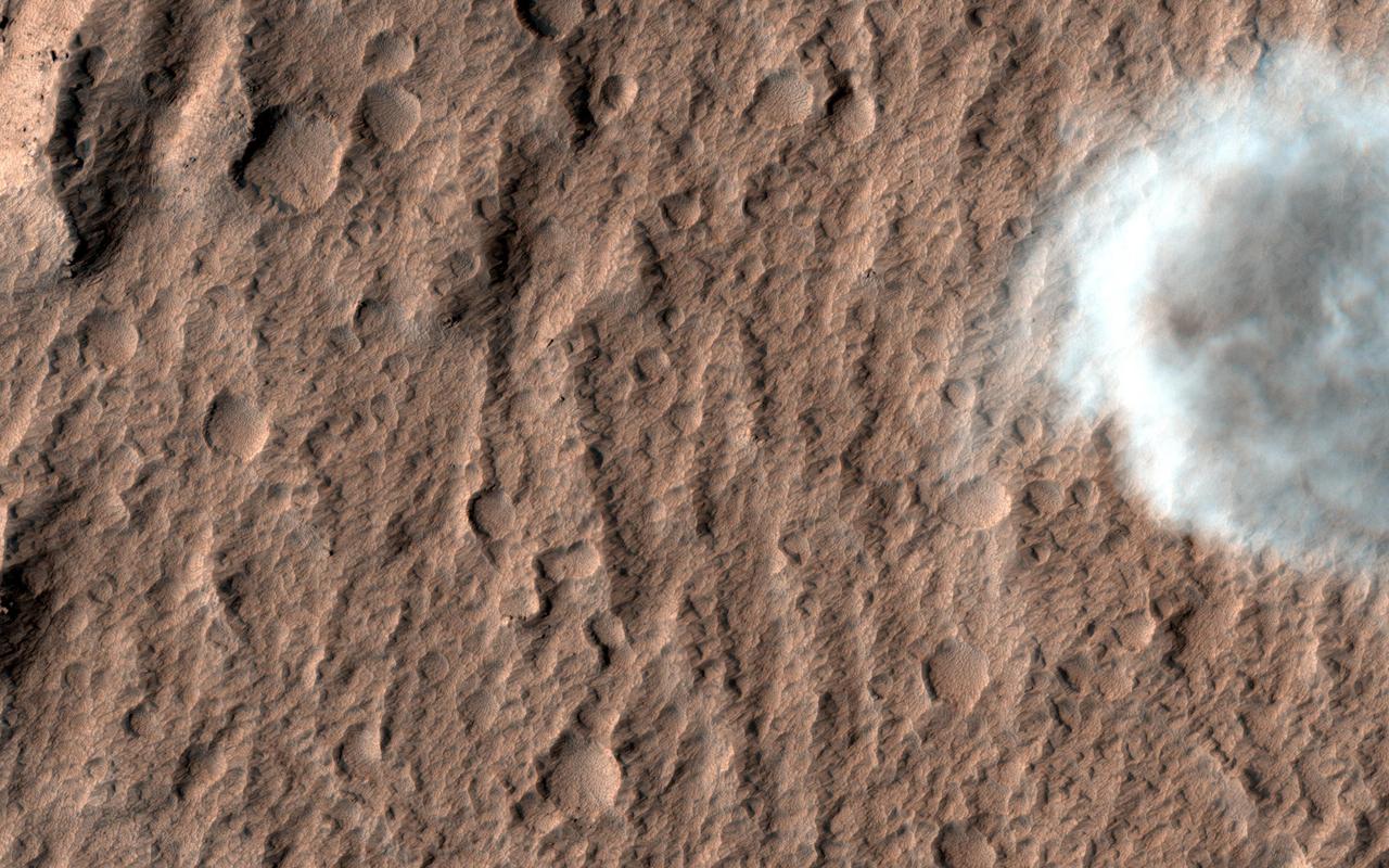 There are many dust devils on Mars -- little twisters that raise dust from the surface. They have also cleaned dust off of the solar panels of the rovers Opportunity and Spirit, improving the solar power production. (Spirit became stuck in 2009 and ceased communication a year later.)  HiRISE sees many dust-devil tracks on Mars, but rarely captures an active feature because the images cover such small areas and because the typical time of day near 3 p.m. is past the peak heating and dust-devil activity.  The map is projected here at a scale of 25 centimeters (9.8 inches) per pixel. [The original image scale is 29.5 centimeters (11.6 inches) per pixel (with 1 x 1 binning) to 58.9 centimeters (23.2 inches) per pixel (with 2 x 2 binning)]. North is up.  http://photojournal.jpl.nasa.gov/catalog/PIA21457