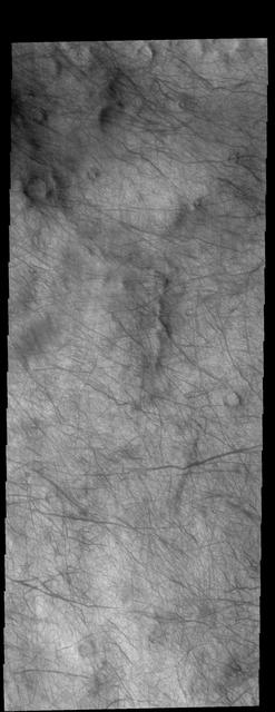 This image captured by NASA 2001 Mars Odyssey spacecraft shows dust devil tracks in Aonia Terra. As the dust devil moves along the surface it scours the dust and fine materials away, revealing the darker rocky surface below the dust. Orbit Number: 66962 Latitude: -68.8221 Longitude: 241.346 Instrument: VIS Captured: 2017-01-17 13:13 http://photojournal.jpl.nasa.gov/catalog/PIA21501