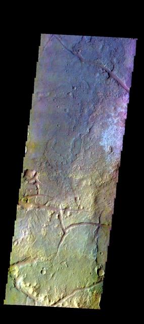 The THEMIS VIS camera contains 5 filters. The data from different filters can be combined in multiple ways to create a false color image. These false color images may reveal subtle variations of the surface not easily identified in a single band image. Today's false color image shows part of the plains of Margaritifer Terra.  Orbit Number: 52021 Latitude: -18.9842 Longitude: 332.027 Instrument: VIS Captured: 2013-09-05 07:38  http://photojournal.jpl.nasa.gov/catalog/PIA21506