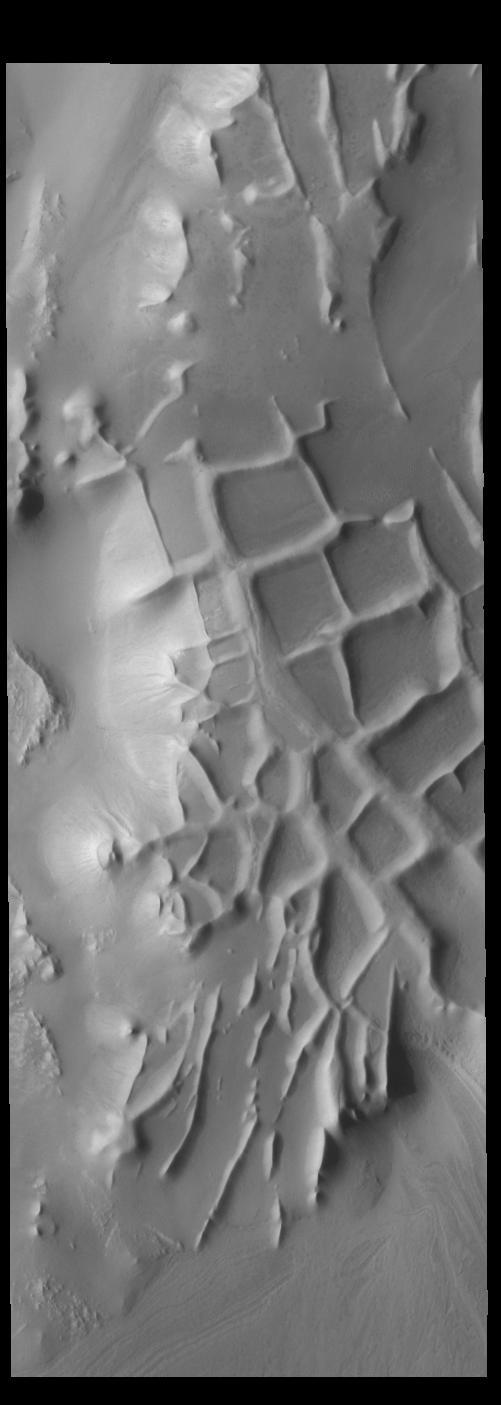 The ridges in this VIS image captured by NASA 2001 Mars Odyssey spacecraft are part of Angustus Labyrinthus. The intersecting ridges were most likely formed due to tectonic activity.  Orbit Number: 67279 Latitude: -81.43 Longitude: 296.558 Instrument: VIS Captured: 2017-02-12 16:12  https://photojournal.jpl.nasa.gov/catalog/PIA21525