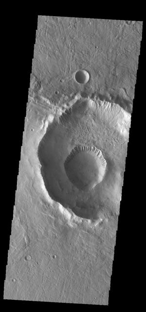 The small crater on the floor of the larger crater is called Gasa Crater. Gullies dissect the rims of both craters, as shown in this image captured by NASA 2001 Mars Odyssey spacecraft. These craters are located in Eridania Planitia. Orbit Number: 67465 Latitude: -35.7075 Longitude: 129.365 Instrument: VIS Captured: 2017-02-27 23:40 https://photojournal.jpl.nasa.gov/catalog/PIA21528