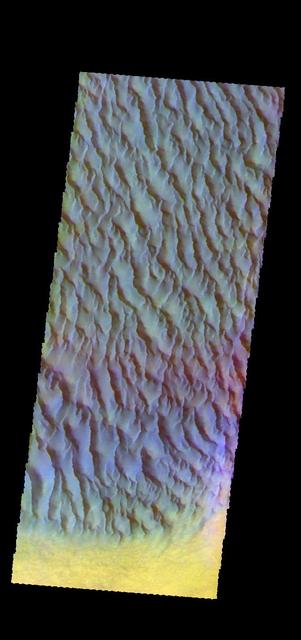 The THEMIS camera contains 5 filters. The data from different filters can be combined in multiple ways to create a false color image. This image from NASA's 2001 Mars Odyssey spacecraft shows a part of the large sand sheet on the floor of Proctor Crater in Noachis Terra. Orbit Number: 57787 Latitude: -47.7327 Longitude: 30.2888 Instrument: VIS Captured: 2014-12-23 21:29 https://photojournal.jpl.nasa.gov/catalog/PIA21538