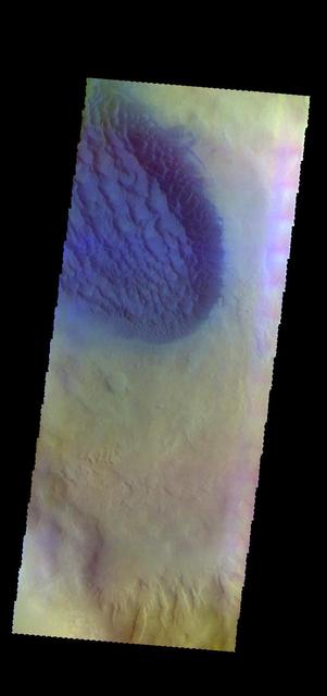 The THEMIS camera contains 5 filters. The data from different filters can be combined in multiple ways to create a false color image. These false color images may reveal subtle variations of the surface not easily identified in a single band image. This image from NASA's 2001 Mars Odyssey spacecraft shows part of the floor of Matara Crater, including the sand sheet with surface dune forms. Matara Crater is located in Noachis Terra. Orbit Number: 57999 Latitude: -49.6454 Longitude: 34.7752 Instrument: VIS Captured: 2015-01-10 08:26 https://photojournal.jpl.nasa.gov/catalog/PIA21540