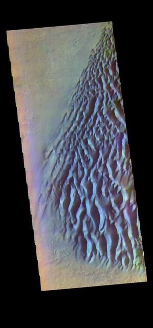 NASA image: Proctor Crater Dunes- False Color