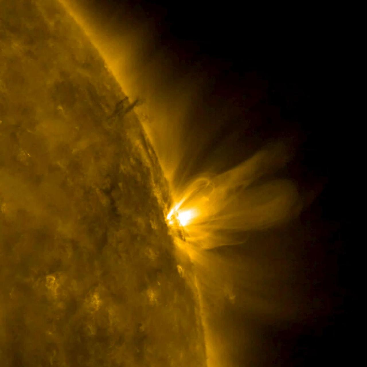 When an active region rotated over to the edge of the sun, it presented us with a nice profile view of its elongated loops stretching and swaying above it (Mar. 8-9, 2017). These loops are actually charged particles (made visible in extreme ultraviolet light) swirling along the magnetic field lines of the active region. The video covers about 30 hours of activity. Also of note is a darker twisting mass of plasma to the left of the active region being pulled and spun about by magnetic forces. Video is available at http://photojournal.jpl.nasa.gov/catalog/PIA21562