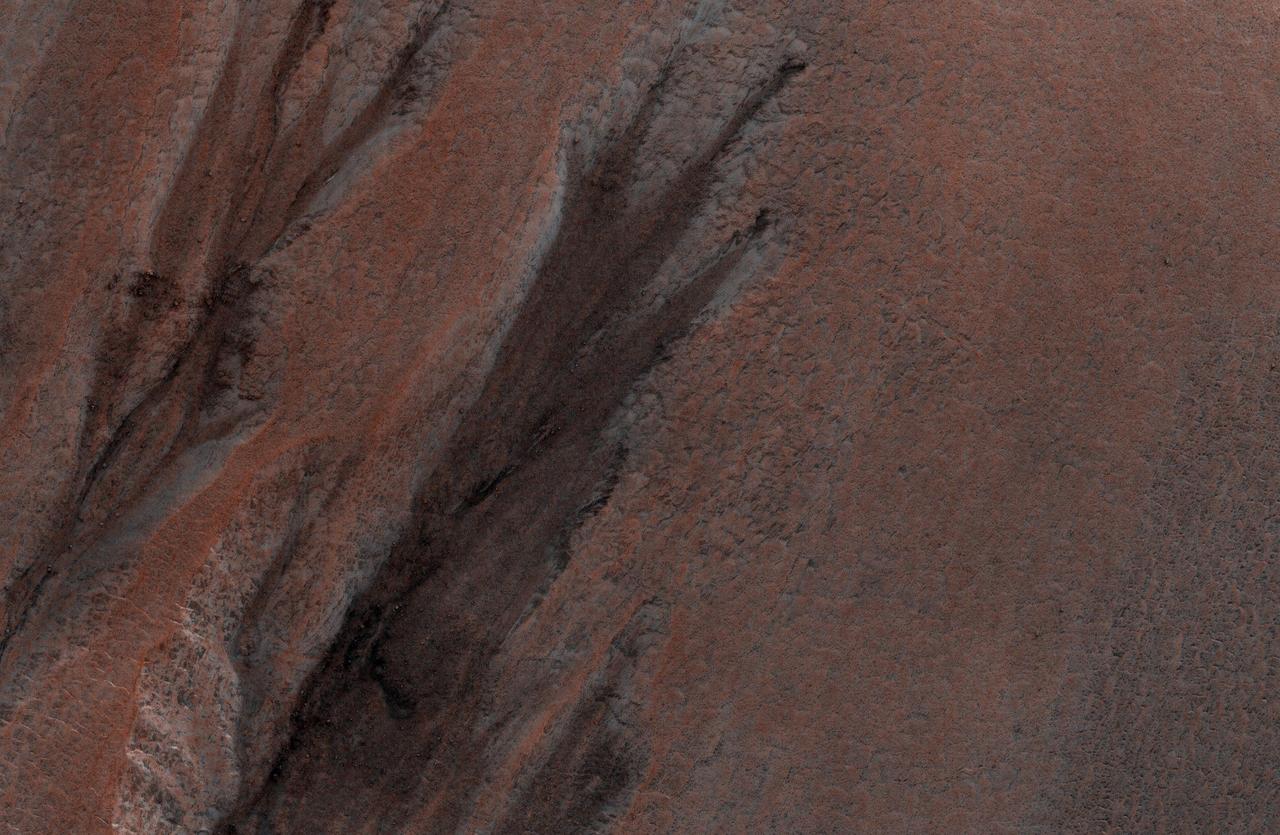 This is an odd-looking image. It shows gullies during the winter while entirely in the shadow of the crater wall. Illumination comes only from the winter skylight.  We acquire such images because gullies on Mars actively form in the winter when there is carbon dioxide frost on the ground, so we image them in the winter, even though not well illuminated, to look for signs of activity. The dark streaks might be signs of current activity, removing the frost, but further analysis is needed.  NB: North is down in the cutout, and the terrain slopes towards the bottom of the image.  The map is projected here at a scale of 50 centimeters (19.7 inches) per pixel. [The original image scale is 62.3 centimeters (24.5 inches) per pixel (with 2 x 2 binning); objects on the order of 187 centimeters (73.6 inches) across are resolved.] North is up.  http://photojournal.jpl.nasa.gov/catalog/PIA21568