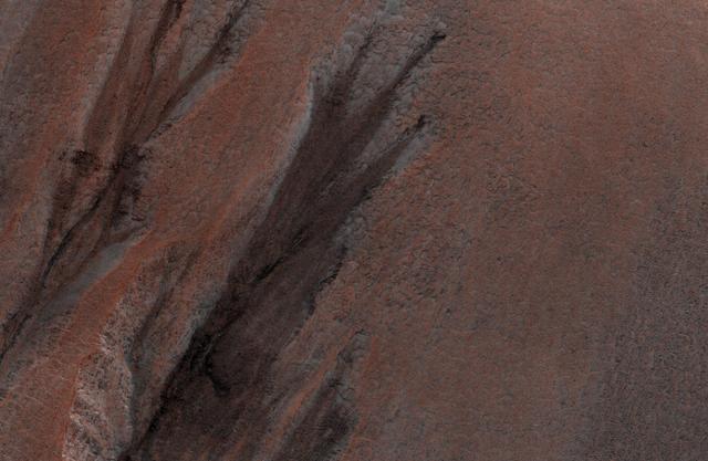 NASA image: Gullies in Winter Shadow