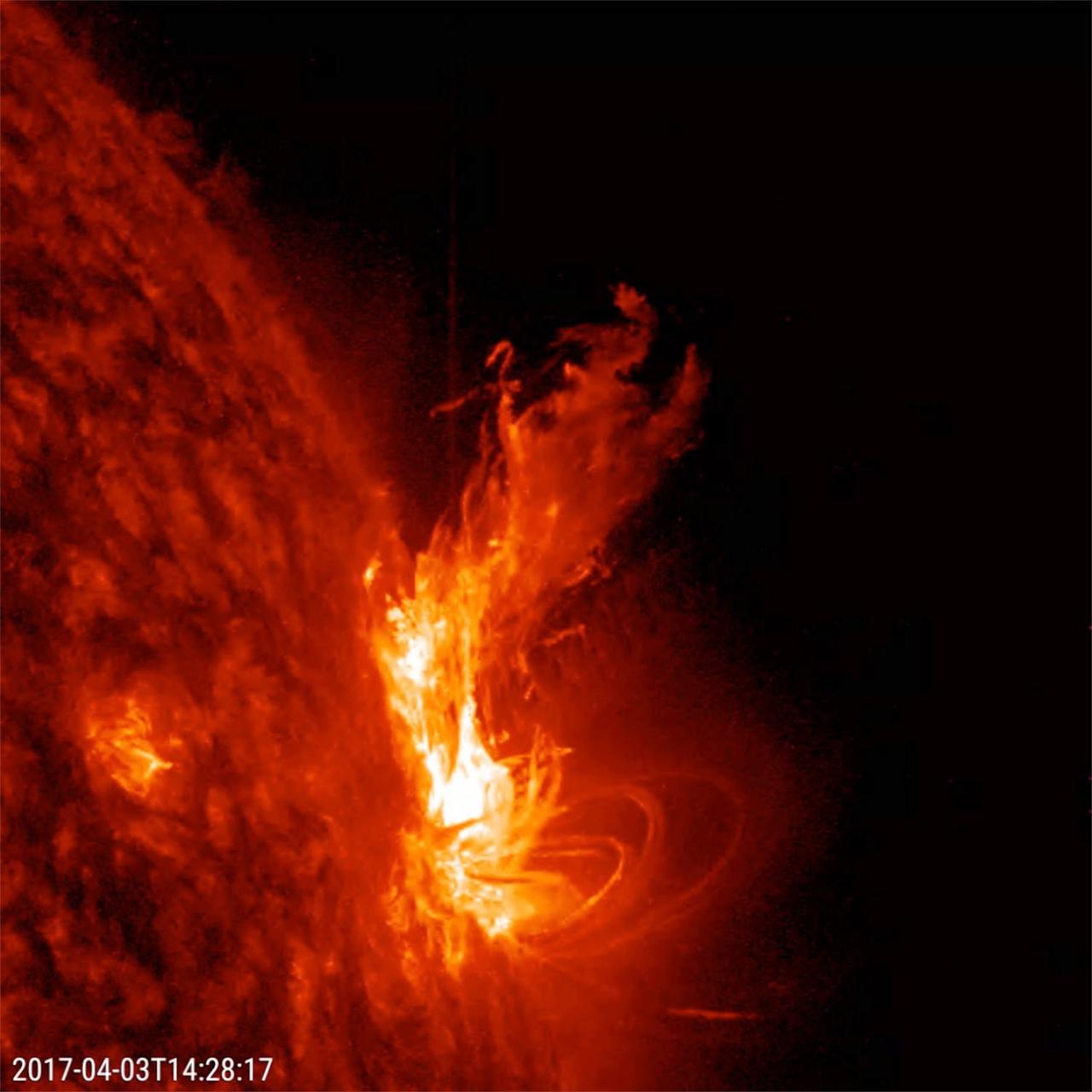 An active region at the sun's edge produced several M5-class (medium sized) flares over a ten-hour period (Apr. 3, 2017). The most dramatic flare occurs about half way through the video clip, when it shoots up a bright towering plume of plasma. These were the strongest flares of the year so far. Some coronal mass ejections (which hurled clouds of plasma into space) were also associated with some of these flares. The images were taken in a wavelength of extreme ultraviolet light. Movies are available at https://photojournal.jpl.nasa.gov/catalog/PIA21584