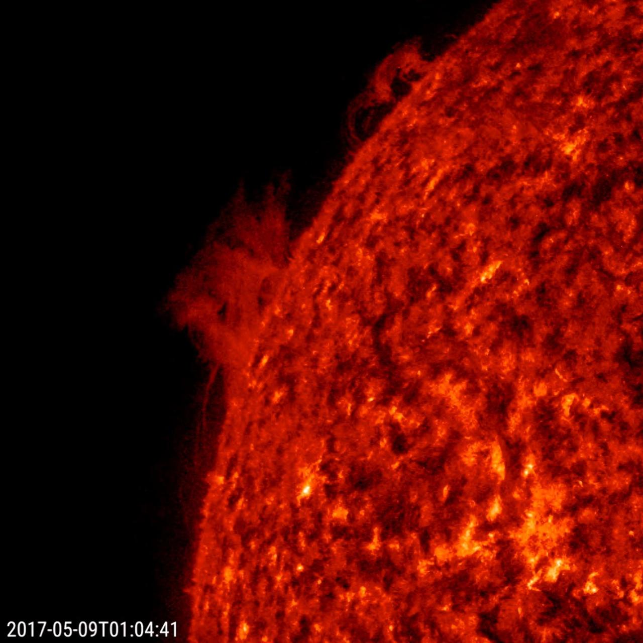 At the edge of the sun, a large prominence and a small prominence began to shift, turn and fall apart in less than one day (May 8-9, 2017). Prominences are notoriously unstable. Competing magnetic forces pulled the plasma back and forth until they dissipated. The images were taken in a wavelength of extreme ultraviolet light. The 18-second video clip is comprised of almost 600 frames being shown at 30 frames per second.  Movies are available at https://photojournal.jpl.nasa.gov/catalog/PIA21634