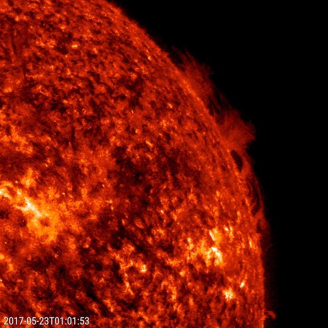 NASA image: Hedgerow Prominence