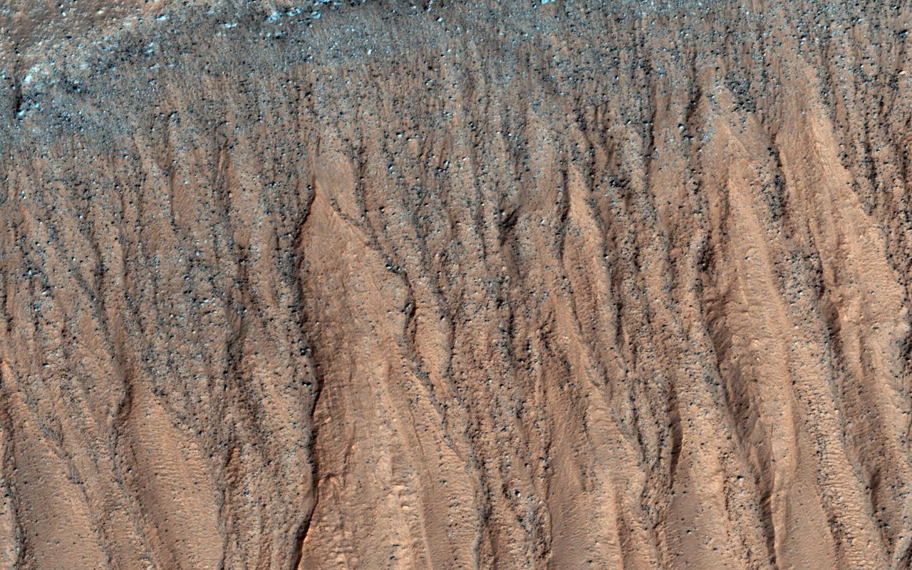 This unnamed, approximately 30-kilometer diameter crater, formed in the Southern highlands of Mars. This image from NASA's Mars Reconnaissance Orbiter shows regions of geologic diversity within, making this an interesting spot for scientists to study how different Martian processes interact with each other.  Gullies, or channels formed by fluids such as water or lava, cut into the rim and sides of this crater. The presence of gullies can reveal clues about the ancient history of Mars, such as the amount of flowing fluid needed to form them and roughly how long ago that happened. This crater may also host features actively changing on the surface of Mars known as "recurring slope lineae" (RSL). Manifesting as dark streaks on steep slopes such as the walls of craters, scientists posit briny flows of small volumes of water as a possible RSL formation method. Studying the behavior of RSL further may provide evidence for the presence of water on Mars today.  Moving toward the crater floor, one can observe patterns indicative of dunes. Dunes arise from the breakdown of exposed rocks by wind and subsequent manipulation of the eroded sand particles into wave-like structures. The presence of dust devil tracks provides additional evidence for significant wind activity at this location. These dunes are very dusty and so likely haven't been active (moved) in some time.  HiRISE also captured a small, relatively fresh crater on the floor near the dunes. One of the most ubiquitous processes in the solar system, impact cratering can drastically change the surface of a planetary body. As such, craters provide sources of comparison between planets, moons, and other bodies across the solar system. Impacts still occur today, helping scientists find relative ages of different areas of a planet and discover materials buried under the surface.  All of these processes have altered the surface of Mars in the past and continue to do so today. Since gully formation, wind erosion, and impact cratering could have interacted with each other for many years, planetary scientists find it difficult to work backwards and make definitive statements about ancient Martian history. However, HiRISE imagery has aided in closing these gaps in our scientific knowledge.  https://photojournal.jpl.nasa.gov/catalog/PIA21654