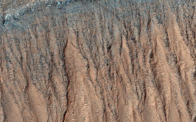 NASA image: Gullies and Craters and Dunes, Oh My!