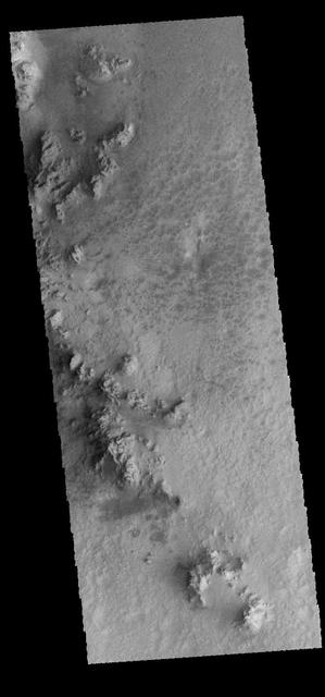 Rather than a central peak, Hale Crater contains a complex ridge of peaks. This image captured by NASA 2001 Mars Odyssey spacecraft shows a portion of the ridge. Orbit Number: 67402 Latitude: -35.7295 Longitude: 323.763 Instrument: VIS Captured: 2017-02-22 19:41 https://photojournal.jpl.nasa.gov/catalog/PIA21656