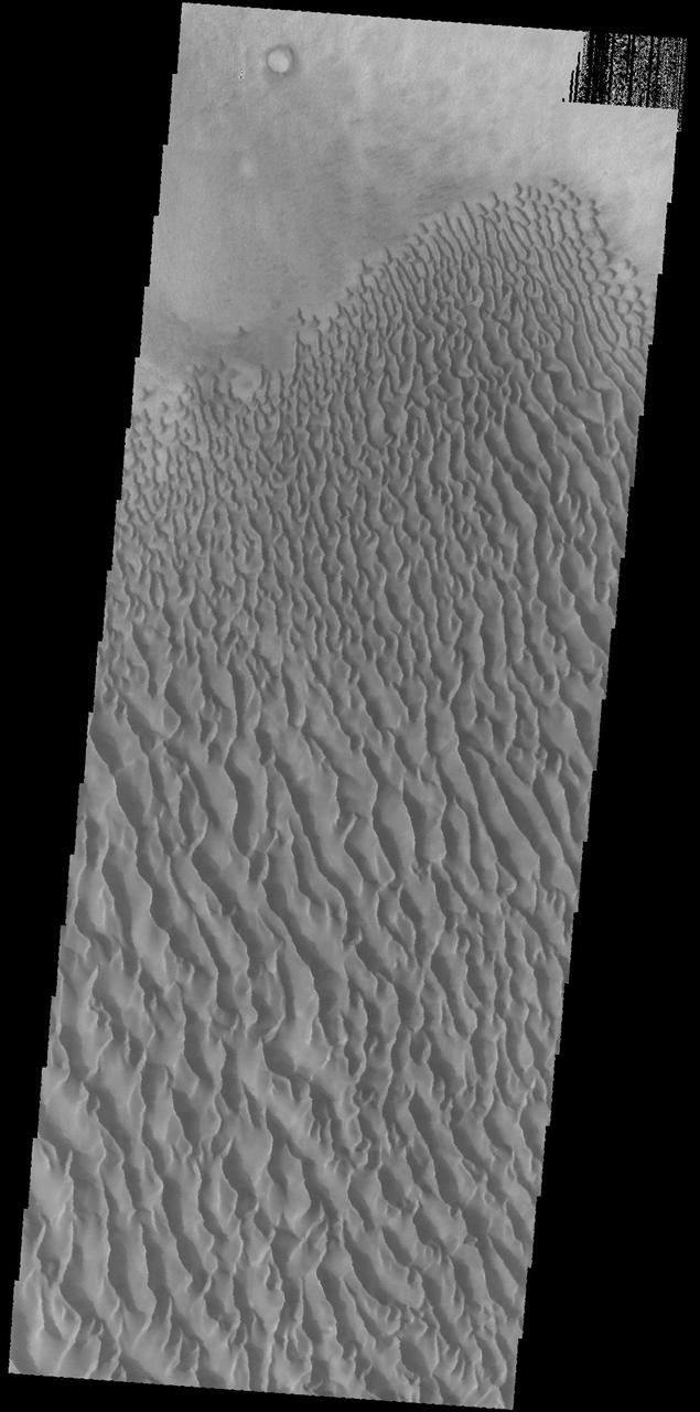 This image captured by NASA's 2001 Mars Odyssey spacecraft shows a portion of the dune sheet and other dune forms on the floor of Proctor Crater. Orbit Number: 67406 Latitude: -47.2898 Longitude: 30.5462 Instrument: VIS Captured: 2017-02-23 03:04 https://photojournal.jpl.nasa.gov/catalog/PIA21657