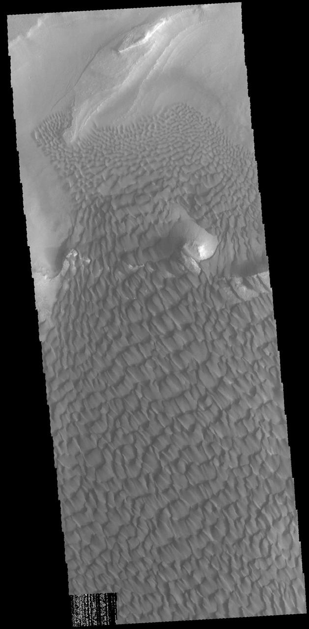 This image captured by NASA 2001 Mars Odyssey spacecraft show part of the dune field located on the floor of Rabe Crater. Orbit Number: 67412 Latitude: -43.5303 Longitude: 34.6741 Instrument: VIS Captured: 2017-02-23 15:25 https://photojournal.jpl.nasa.gov/catalog/PIA21658