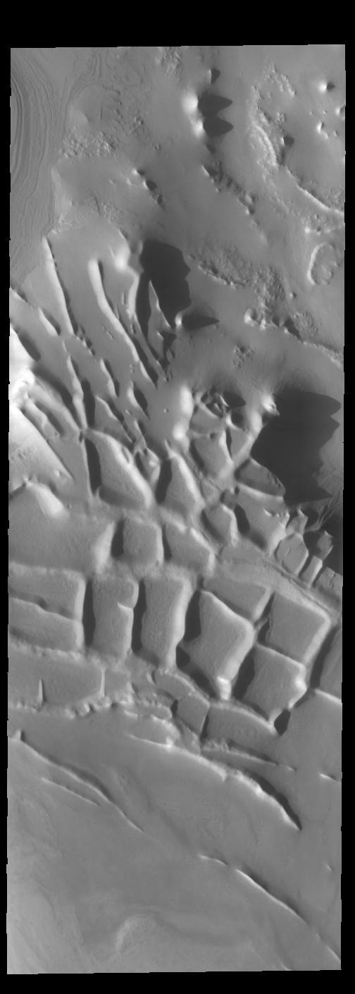 This image captured by NASA 2001 Mars Odyssey spacecraft shows the region near the south polar cap called Angustus Labyrinthus, which is defined by the linear ridges.  The Odyssey spacecraft orbit is near the day/night terminator, which means looking at the surface near dawn and dusk. This image was taken in the late afternoon and the low sun angle casts shadows behind the taller peaks. The shadows show the topography of the ridges, which is hard to see from above.  Orbit Number: 67658 Latitude: -81.3907 Longitude: 296.204 Instrument: VIS Captured: 2017-03-15 21:34  https://photojournal.jpl.nasa.gov/catalog/PIA21661