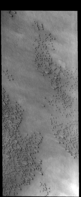 NASA's 2001 Mars Odyssey spies what looks likNASA's 2001 Mars Odyssey spies what looks like a barrage of bullets headed its way.e a barrage of bullets headed its way.  https://photojournal.jpl.nasa.gov/catalog/PIA21688