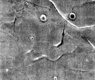 This image captured by NASA's 2001 Mars Odyssey spacecraft resembles a face staring back at the spacecraft.  Orbit Number: 65345 Latitude: 34.4675 Longitude: 105.179 Instrument: IR Captured: 2016-09-06 09:27  https://photojournal.jpl.nasa.gov/catalog/PIA21697