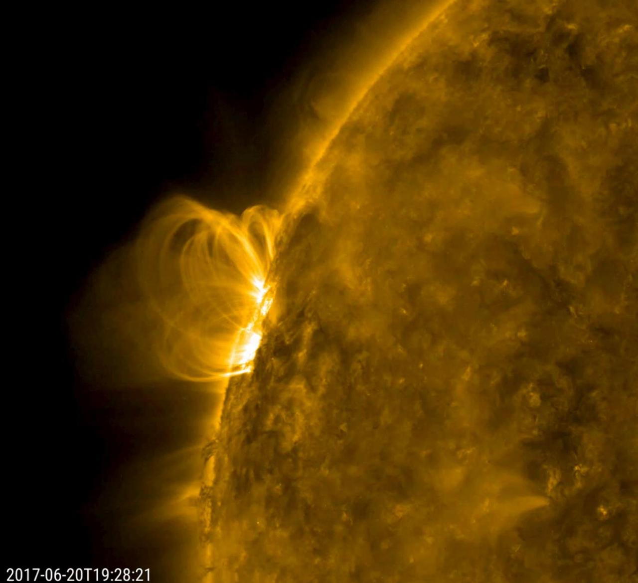 A smallish solar filament looks like it collapsed into the sun and set off a minor eruption that hurled plasma into space (June 20, 2017). Then, the disrupted magnetic field immediately began to reorganize itself, hence the bright series of spirals coiling up over that area. The magnetic field lines are made visible in extreme ultraviolet light as charged particles spin along them. Also of interest are the darker, cooler strands of plasma being pulled and twisted at the edge of the sun just below the active region. The activity here is in a 21-hour period.  Movies are available at https://photojournal.jpl.nasa.gov/catalog/PIA21764