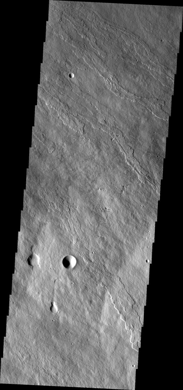 This image of the flank of Ascraeus Mons shows several individual flows where the sides are higher than the center. These are called leveed flows, as the outer margin acts as a levee containing the flow as it continues downslope. Levees grow as the flow margins start to cool. The hotter liquid lava continues as long as the source flows.  The Odyssey spacecraft has spent over 15 years in orbit around Mars, circling the planet more than 69000 times. It holds the record for longest working spacecraft at Mars. THEMIS, the IR/VIS camera system, has collected data for the entire mission and provides images covering all seasons and lighting conditions. Over the years many features of interest have received repeated imaging, building up a suite of images covering the entire feature. From the deepest chasma to the tallest volcano, individual dunes inside craters and dune fields that encircle the north pole, channels carved by water and lava, and a variety of other feature, THEMIS has imaged them all. For the next several months the image of the day will focus on the Tharsis volcanoes, the various chasmata of Valles Marineris, and the major dunes fields. We hope you enjoy these images!  Orbit Number: 18039 Latitude: 10.3245 Longitude: 256.26 Instrument: VIS Captured: 2006-01-07 16:37  https://photojournal.jpl.nasa.gov/catalog/PIA21823