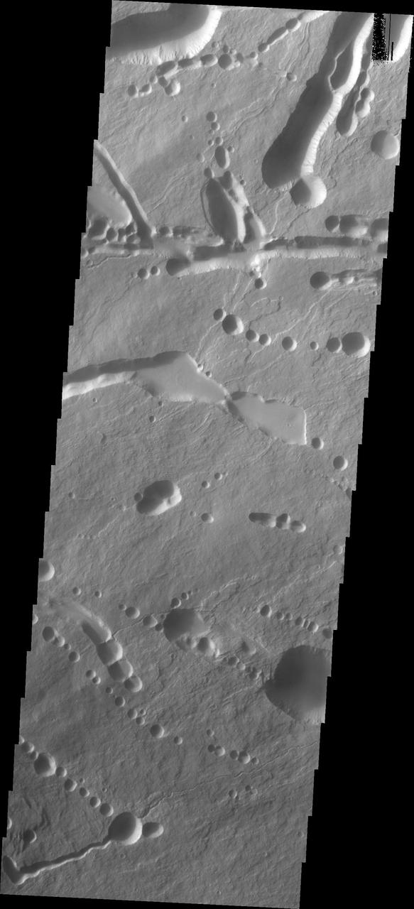 This image shows part of the northeastern flank of Ascraeus Mons, along the trend that joins the three large Tharsis volcanoes. The image has a myriad of collapse features from circular to linear outlines. The majority of the collapse features don't interact with the surface lava flows, indicating that the collapse features were formed after the main emplacement of lava flows from the summit and near summit vents. The Odyssey spacecraft has spent over 15 years in orbit around Mars, circling the planet more than 69000 times. It holds the record for longest working spacecraft at Mars. THEMIS, the IR/VIS camera system, has collected data for the entire mission and provides images covering all seasons and lighting conditions. Over the years many features of interest have received repeated imaging, building up a suite of images covering the entire feature. From the deepest chasma to the tallest volcano, individual dunes inside craters and dune fields that encircle the north pole, channels carved by water and lava, and a variety of other feature, THEMIS has imaged them all. For the next several months the image of the day will focus on the Tharsis volcanoes, the various chasmata of Valles Marineris, and the major dunes fields. We hope you enjoy these images! Orbit Number: 19886 Latitude: 12.7788 Longitude: 257.162 Instrument: VIS Captured: 2006-06-08 18:15 https://photojournal.jpl.nasa.gov/catalog/PIA21827