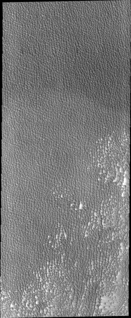 Investigating Mars: Siton Undae