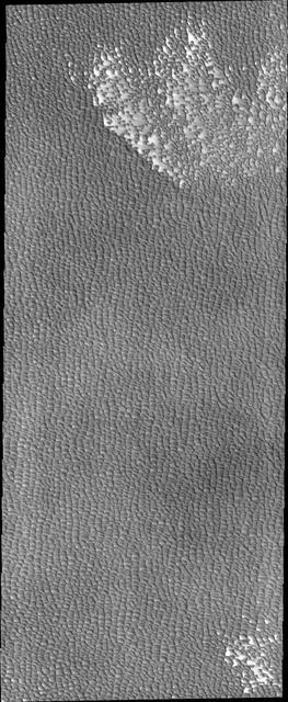 Siton Undae is a large dune field located in the northern plains near Escorial Crater. Siton Undae is west of the crater and is one of three dune fields near the crater. The nearby north polar cap is dissected by Chasma Boreale, which exposes an ice free surface. This image shows part of the southern extent of the dune field.  The Odyssey spacecraft has spent over 15 years in orbit around Mars, circling the planet more than 69000 times. It holds the record for longest working spacecraft at Mars. THEMIS, the IR/VIS camera system, has collected data for the entire mission and provides images covering all seasons and lighting conditions. Over the years many features of interest have received repeated imaging, building up a suite of images covering the entire feature. From the deepest chasma to the tallest volcano, individual dunes inside craters and dune fields that encircle the north pole, channels carved by water and lava, and a variety of other feature, THEMIS has imaged them all. For the next several months the image of the day will focus on the Tharsis volcanoes, the various chasmata of Valles Marineris, and the major dunes fields. We hope you enjoy these images!  Orbit Number: 46166 Latitude: 74.717 Longitude: 295.529 Instrument: VIS Captured: 2012-05-11 12:43  https://photojournal.jpl.nasa.gov/catalog/PIA21833