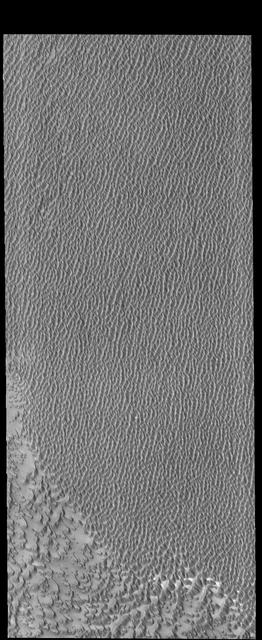 Investigating Mars: Siton Undae