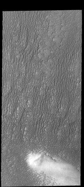 Investigating Mars: Siton Undae
