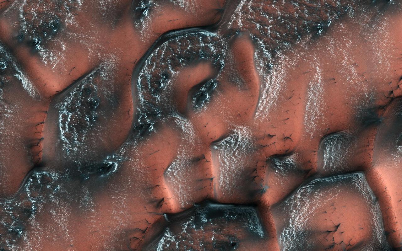 It is spring in the Northern hemisphere when NASA's Mars Reconnaissance Orbiter took this image. Over the winter, snow and ice have inexorably covered the dunes. Unlike on Earth, this snow and ice is carbon dioxide, better known to us as dry ice. When the sun starts shining on it in the spring, the ice on the smooth surface of the dune cracks and escaping gas carries dark sand out from the dune below, often creating beautiful patterns. On the rough surface between the dunes, frost is trapped behind small sheltered ridges. https://photojournal.jpl.nasa.gov/catalog/PIA21882