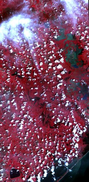 NASA image: Hurricane Harvey Flooding Seen in New NASA Satellite Image