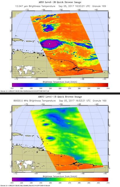 Hurricane Irma is the strongest hurricane ever recorded outside the Caribbean Sea and Gulf of Mexico. These two images from the Atmospheric Infrared Sounder (AIRS) instrument aboard NASA's Aqua satellite show what Hurricane Irma looked like when Aqua passed overhead just before 1 p.m. local time (10 a.m. PDT) on Sept. 5, 2017. Forecasts at the National Hurricane Center have Irma passing near the major islands to its west before turning northward near Florida this weekend. The first image (top) is an infrared snapshot from AIRS (see Figure 1 for larger image). In orange and red areas, the ocean surface shines through, while blue and purple areas represent cold, high clouds that obscure what lies below. Typical of well-developed hurricanes, Irma is nearly circular with a well-defined eye at its center. The eye is about 25 miles (40 kilometers) in diameter. Careful scrutiny shows a red pixel in the center of the eye, which means that AIRS achieved a bulls-eye with one of its "looks" and was able to see to the ocean between the dense clouds in the eye wall. The second image (bottom) shows the view through AIRS' microwave-colored "lenses" (see Figure 2 for larger image). Here the ocean surface looks yellow, while green represents various degrees of cloudiness. Blue shows areas where it is raining heavily. The eye is not apparent in this image because the "pixel size" of the microwave sounder, about 30 miles (50 kilometers), is larger than the eye and therefore cannot "thread the needle." The infrared sounder, on the other hand, has a pixel size of only 10 miles (16.5 kilometers) and can distinguish the small eye.  https://photojournal.jpl.nasa.gov/catalog/PIA21941