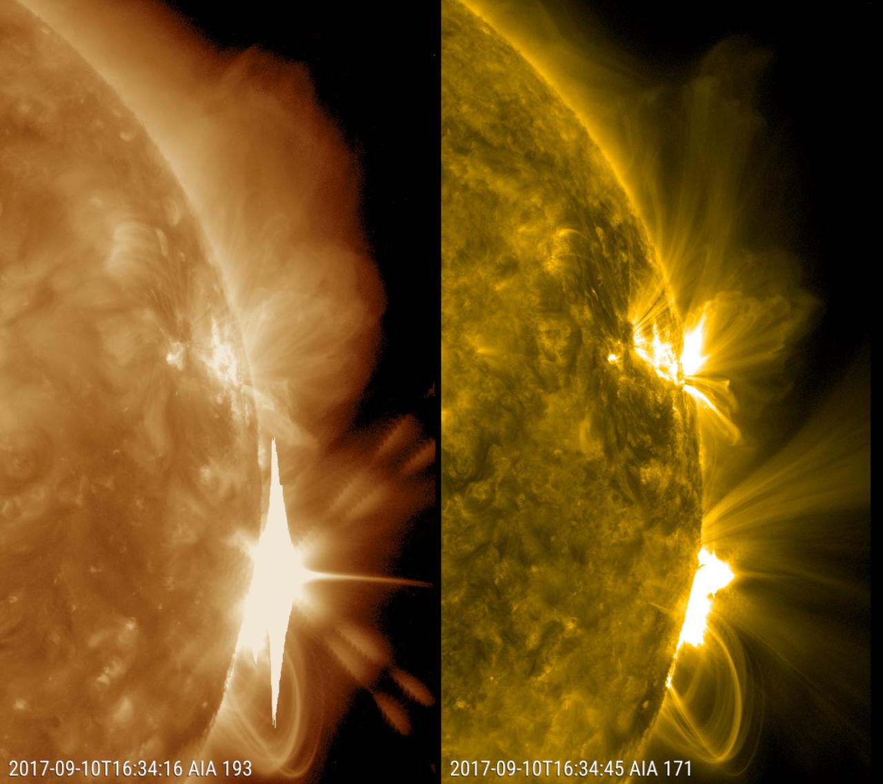 The Sun erupted with an X8 solar flare, one of the largest of the current solar cycle (Sept. 10, 2017). Its source was the same sunspot region that produced an X9 flare last week. This is shown in two wavelengths of extreme ultraviolet light at the same time and each reveals different features. Both are colorized to identify in which wavelength they were observed. The coils of loops after the flare are the magnetic field lines reorganizing themselves after the eruption. The video clip covers about six hours.  Movies are available at https://photojournal.jpl.nasa.gov/catalog/PIA21958