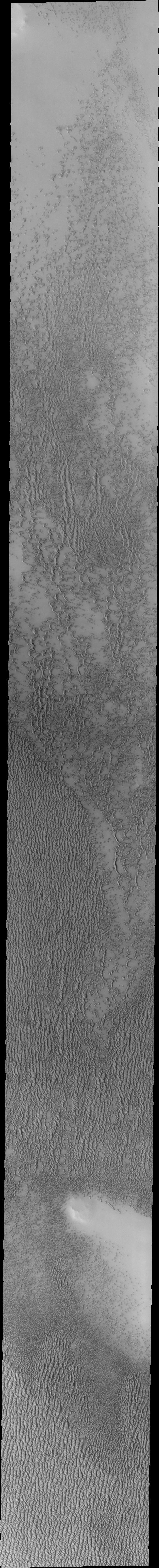 Siton Undae is a large dune field located in the northern plains near Escorial Crater. Siton Undae is west of the crater and is one of three dune fields near the crater. The nearby north polar cap is dissected by Chasma Boreale, which exposes an ice free surface. This image shows a cross section of the dune field. Collected in the early spring season the dunes still retain a frost cover.  The Odyssey spacecraft has spent over 15 years in orbit around Mars, circling the planet more than 69000 times. It holds the record for longest working spacecraft at Mars. THEMIS, the IR/VIS camera system, has collected data for the entire mission and provides images covering all seasons and lighting conditions. Over the years many features of interest have received repeated imaging, building up a suite of images covering the entire feature. From the deepest chasma to the tallest volcano, individual dunes inside craters and dune fields that encircle the north pole, channels carved by water and lava, and a variety of other feature, THEMIS has imaged them all. For the next several months the image of the day will focus on the Tharsis volcanoes, the various chasmata of Valles Marineris, and the major dunes fields. We hope you enjoy these images!  Orbit Number: 27223 Latitude: 75.7765 Longitude: 299.491 Instrument: VIS Captured: 2008-02-02 20:16  https://photojournal.jpl.nasa.gov/catalog/PIA21988