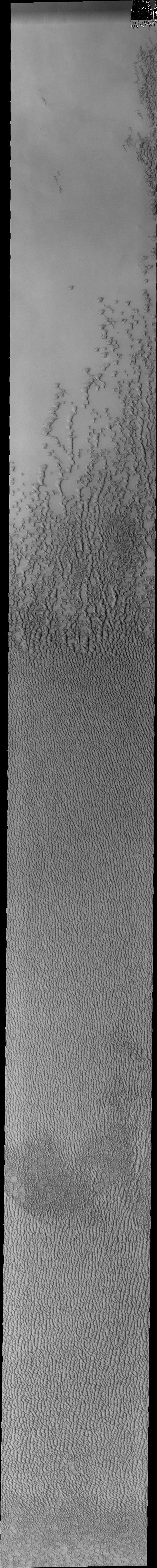 Siton Undae is a large dune field located in the northern plains near Escorial Crater. Siton Undae is west of the crater and is one of three dune fields near the crater. The nearby north polar cap is dissected by Chasma Boreale, which exposes an ice free surface. This image crosses the center of the dune field and was collected in early spring.  The Odyssey spacecraft has spent over 15 years in orbit around Mars, circling the planet more than 69000 times. It holds the record for longest working spacecraft at Mars. THEMIS, the IR/VIS camera system, has collected data for the entire mission and provides images covering all seasons and lighting conditions. Over the years many features of interest have received repeated imaging, building up a suite of images covering the entire feature. From the deepest chasma to the tallest volcano, individual dunes inside craters and dune fields that encircle the north pole, channels carved by water and lava, and a variety of other feature, THEMIS has imaged them all. For the next several months the image of the day will focus on the Tharsis volcanoes, the various chasmata of Valles Marineris, and the major dunes fields. We hope you enjoy these images!  Orbit Number: 27273 Latitude: 75.8111 Longitude: 297.072 Instrument: VIS Captured: 2008-02-06 23:05  https://photojournal.jpl.nasa.gov/catalog/PIA21989