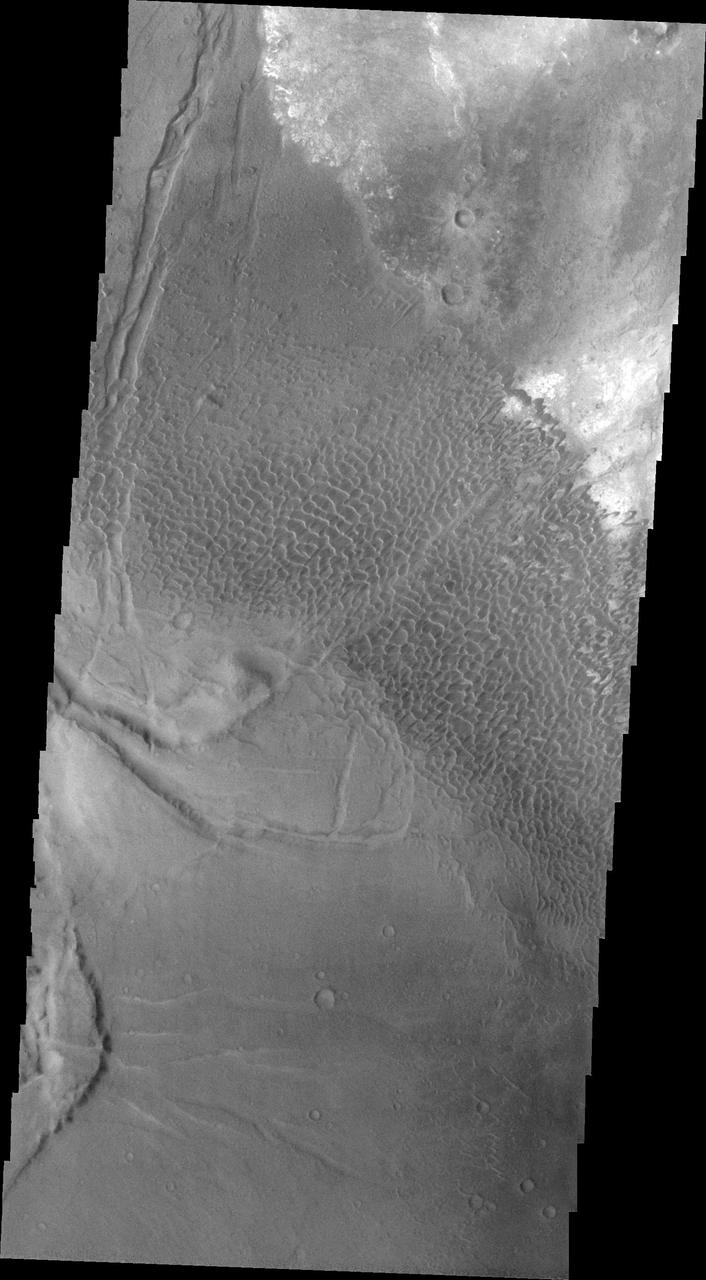 This image shows part of the Nili Patera dune field. High resolution imaging by other spacecraft has revealed that the dunes in this region are moving. Winds are blowing the dunes across a rough surface of regional volcanic lava flows. The paterae are calderas on the volcanic complex called Syrtis Major Planum. Dunes are found in both Nili and Meroe Paterae and in the region between the two calderas. The Odyssey spacecraft has spent over 15 years in orbit around Mars, circling the planet more than 69000 times. It holds the record for longest working spacecraft at Mars. THEMIS, the IR/VIS camera system, has collected data for the entire mission and provides images covering all seasons and lighting conditions. Over the years many features of interest have received repeated imaging, building up a suite of images covering the entire feature. From the deepest chasma to the tallest volcano, individual dunes inside craters and dune fields that encircle the north pole, channels carved by water and lava, and a variety of other feature, THEMIS has imaged them all. For the next several months the image of the day will focus on the Tharsis volcanoes, the various chasmata of Valles Marineris, and the major dunes fields. We hope you enjoy these images! Orbit Number: 34554 Latitude: 8.70872 Longitude: 67.1631 Instrument: VIS Captured: 2009-09-28 12:58 https://photojournal.jpl.nasa.gov/catalog/PIA22002