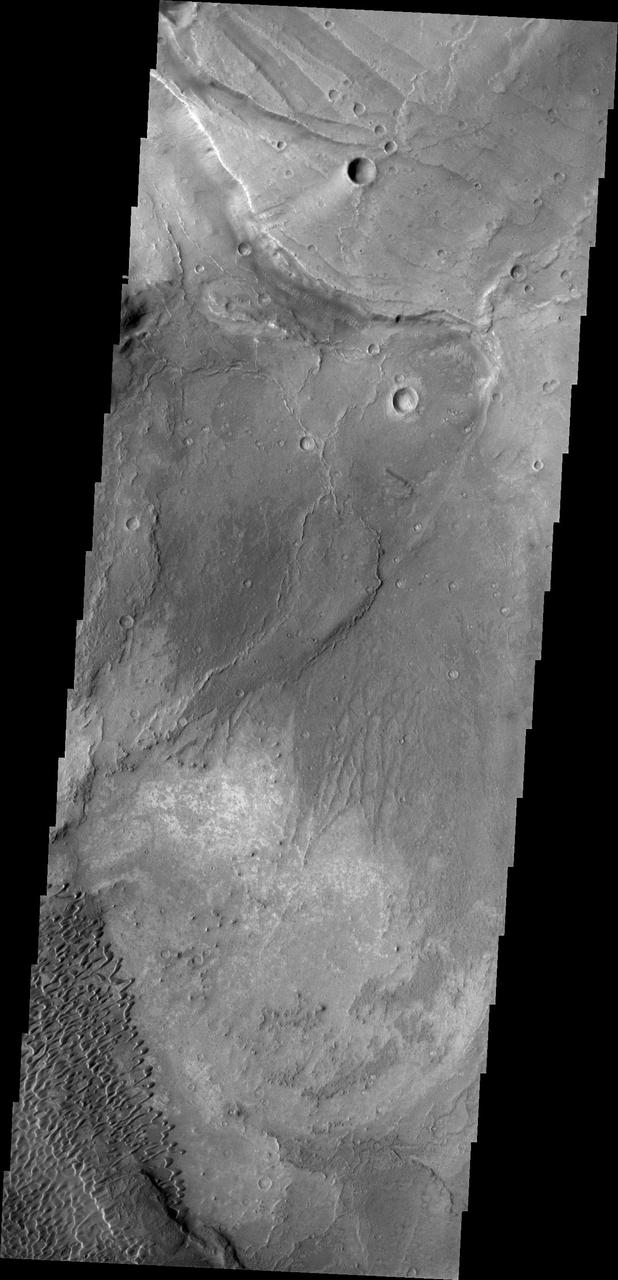 This image shows part of the Nili Patera dune field. High resolution imaging by other spacecraft has revealed that the dunes in this region are moving. Winds are blowing the dunes across a rough surface of regional volcanic lava flows. The paterae are calderas on the volcanic complex called Syrtis Major Planum. Dunes are found in both Nili and Meroe Paterae and in the region between the two calderas. The Odyssey spacecraft has spent over 15 years in orbit around Mars, circling the planet more than 69000 times. It holds the record for longest working spacecraft at Mars. THEMIS, the IR/VIS camera system, has collected data for the entire mission and provides images covering all seasons and lighting conditions. Over the years many features of interest have received repeated imaging, building up a suite of images covering the entire feature. From the deepest chasma to the tallest volcano, individual dunes inside craters and dune fields that encircle the north pole, channels carved by water and lava, and a variety of other feature, THEMIS has imaged them all. For the next several months the image of the day will focus on the Tharsis volcanoes, the various chasmata of Valles Marineris, and the major dunes fields. We hope you enjoy these images! Orbit Number: 39109 Latitude: 8.96069 Longitude: 67.5169 Instrument: VIS Captured: 2010-10-08 14:02 https://photojournal.jpl.nasa.gov/catalog/PIA22006